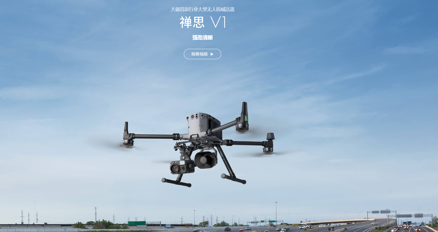 禪思VI